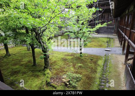 Jardin de mousse dans le temple de Seiryoji, Kyoto, Japon Banque D'Images