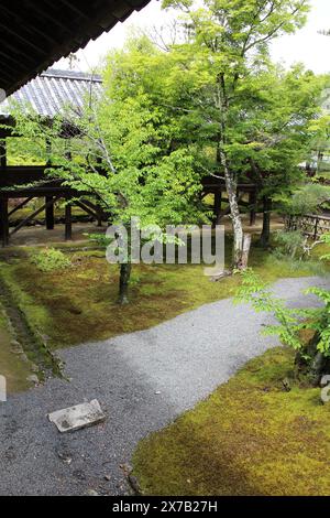 Jardin de mousse et couloir couvert dans le temple Seiryo-ji, Kyoto, Japon Banque D'Images