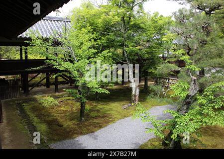 Jardin de mousse et couloir couvert dans le temple Seiryo-ji, Kyoto, Japon Banque D'Images