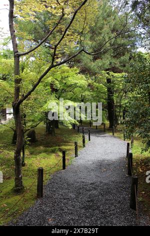 Jardin de mousse dans le temple de Seiryoji, Kyoto, Japon Banque D'Images