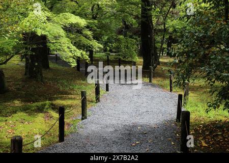 Jardin de mousse dans le temple de Seiryoji, Kyoto, Japon Banque D'Images