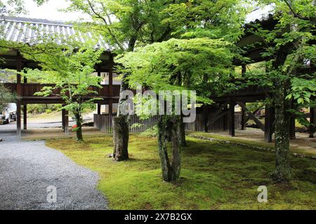 Jardin de mousse et couloir couvert dans le temple Seiryo-ji, Kyoto, Japon Banque D'Images