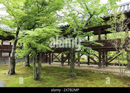 Jardin de mousse et couloir couvert dans le temple Seiryo-ji, Kyoto, Japon Banque D'Images