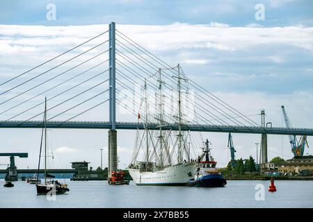 Stralsund, Allemagne. 19 mai 2024. Le voilier « Gorch Fock I » est remorqué par des remorqueurs depuis le chantier naval de Volkswagen à travers les ponts Ziegelgraben et Rügen jusqu'au port de la ville. Après d'importantes réparations sur le voilier vieux de 90 ans au chantier naval, le navire sera amarré dans le port de la ville en tant que navire-musée à l'avenir. Crédit : Stefan Sauer/dpa/Alamy Live News Banque D'Images