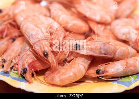 Crevettes cuites dans une table. Généralement marin fréquemment récolté pour la nourriture Banque D'Images