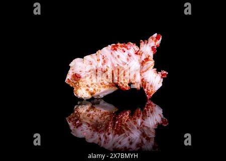 Vanadinite orange / rouge sur baryte blanche, de Mibladen, Maroc. photographie isolée sur fond noir. macro gros plan grossier brut non poli Banque D'Images