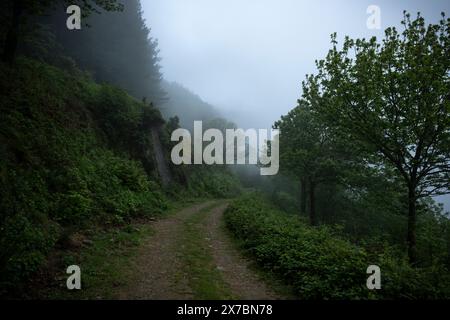 paysage, en jour de pluie brumeux, montrant un sentier dans une montagne couverte de forêt, sud de la france au printemps Banque D'Images