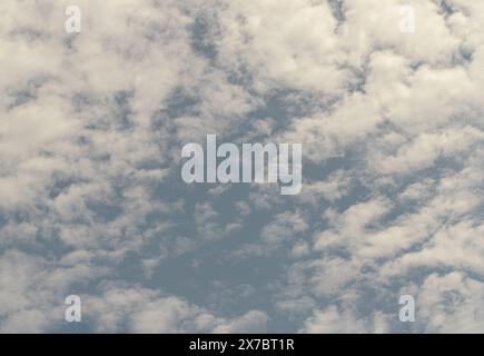 Le soleil brille et les nuages brillants de Cirrocumulus pleins sur le ciel bleu. Nuages Altocumulus, beau phénomène de ciel, paysage de ciel, idée de concept d'Imaginat Banque D'Images