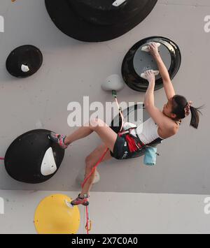 Shanghai. 19 mai 2024. SEO Chaehyun, de Corée du Sud, participe à l'escalade de tête de la finale féminine de rocher et de tête d'escalade sportive lors de la série olympique qualificative à Shanghai, dans l'est de la Chine, le 19 mai 2024. Crédit : Wang Kaiyan/Xinhua/Alamy Live News Banque D'Images