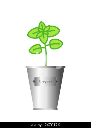 Herbe d'origan dans un pot métallique argenté. Isolé sur fond blanc. Illustration de Vecteur