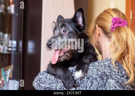 Petit chien noir sur l'épaule de la femme de près Banque D'Images