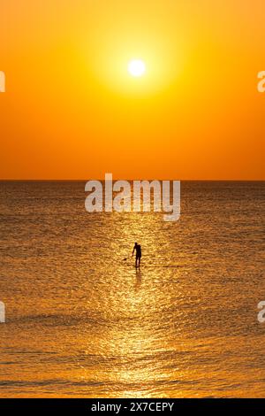 Tanzanie, Zanzibar, Ras Nungwi, SUP au coucher du soleil Banque D'Images