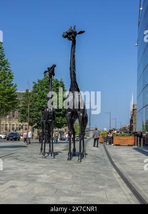 Deux sculptures de girafe fabriquées à partir de pièces de voitures et de motos et dévoilées en 2005 stands à l'extérieur de l'Omni Centre, Édimbourg, Écosse, Royaume-Uni Banque D'Images