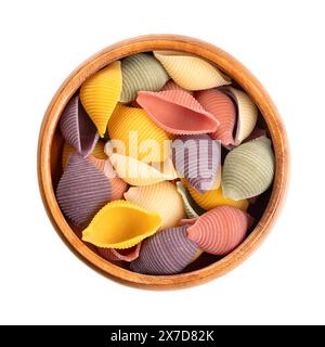 Conchiglie cinq couleurs, pâtes italiennes dans un bol en bois. Pâtes rondes, en forme de coquille et sillonnées, non cuites à la semoule de blé dur. Banque D'Images