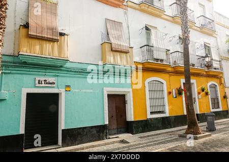 Magasins et restaurants colorés sur la Calle Virgen de la Palma, une rue piétonne bordée de palmiers connue pour ses restaurants et cafés à Cadix, en Espagne. Cádiz est l'une des plus anciennes colonies habitées en Europe, fondée par les Phéniciens vers 1100 av. J.-C.. Banque D'Images