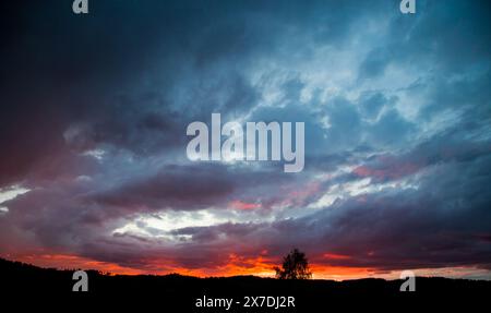 Ciel brûlant, coucher de soleil dans le Waldviertel, Autriche Banque D'Images