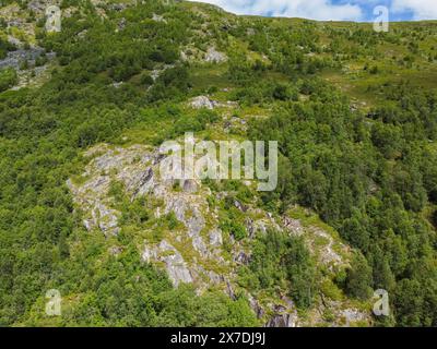 Drone photo. Vue de dessus d'une montagne norvégienne avec des arbres verts lors d'une chaude journée d'été sous un ciel bleu. Banque D'Images