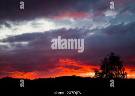 Ciel brûlant, coucher de soleil dans le Waldviertel, Autriche Banque D'Images