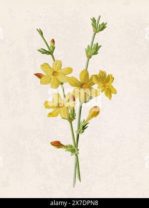 Belle illustration de fleurs florissantes. Aquarelle numérique avec inspiration vintage sur un fond beige grunge. Banque D'Images