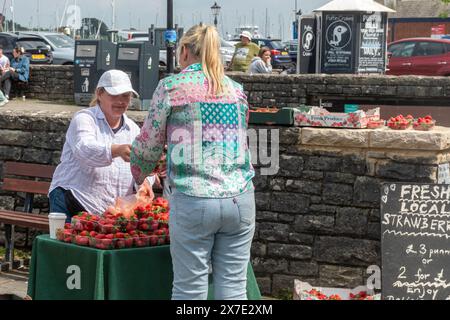 Femme vendant des fraises locales fraîches à Lymington Harbour pendant mai, Hampshire, Angleterre, Royaume-Uni Banque D'Images