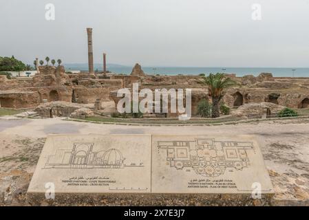 Les ruines archéologiques des Thermes d'Antonin, les thermes d'Antonin, le plus grand complexe thermal romain construit en Afrique, une partie de la ville phénicienne ruinée de Carthage, Tunis, Tunisie. Banque D'Images