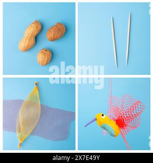 Artisanat d'oiseau simple pour les enfants, bricolage, jouet colibri d'arachide pour le printemps ou l'été, activité maison pour les enfants, concept de recyclage, Banque D'Images
