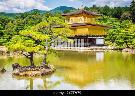 Kyoto, JAPON - 30 juillet 2016 : arbre à feuilles persistantes et temple d'or reflétés sur kyoko-chi, ou étang miroir. Banque D'Images