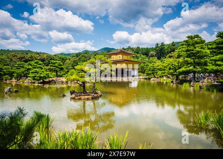 Kyoto, JAPON - 30 juillet 2016 : arbre à feuilles persistantes et temple d'or reflétés sur kyoko-chi, ou étang miroir. Banque D'Images