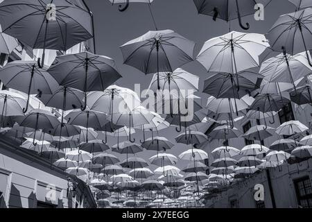 Parapluies colorés suspendus à la rue Alba Iulia, Timisoara. Photo de haute qualité Banque D'Images