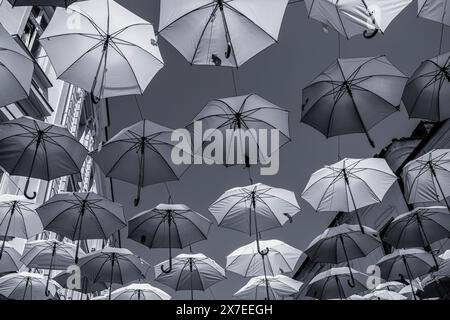 Parapluies colorés suspendus à la rue Alba Iulia, Timisoara. Photo de haute qualité Banque D'Images