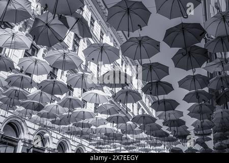 Parapluies colorés suspendus à la rue Alba Iulia, Timisoara. Photo de haute qualité Banque D'Images