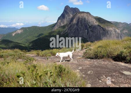 Parc d'État de Três Picos. Situé dans la Serra do Mar, dans la région montagneuse de la ville de Nova Friburgo, dans l'état de Rio de Janeiro Banque D'Images