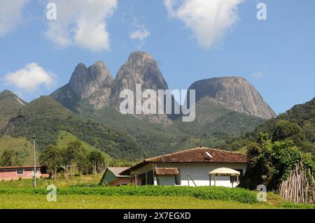 Rio de Janeiro, Brésil, 4 avril 2024.plantation de légumes dans la région montagneuse de la ville de Nova Friburgo, dans l'état de Rio de Janeiro Banque D'Images