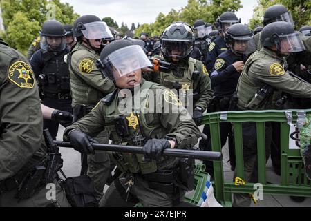 Irvine, Californie, États-Unis. 1er janvier 2023. Les shérifs du comté d'Orange franchissent la barrière du campement avec une démonstration de force. Des agents de nombreux services de police autour du comté d'Orange, en Californie, ont été appelés sur le campus d'Irvine de l'Université de Californie (UC) pour nettoyer un campement palestinien en pleine expansion prenant le contrôle du centre de l'Université. Les étudiants se barricadèrent en cercle, fortifiant leur périmètre avec des palettes de bois et divers autres objets pour empêcher les autorités d'entrer. Au total, 50 manifestants ont été arrêtés et le campement a été complètement dépassé Banque D'Images