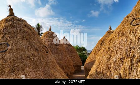 Campagne du Vietnam au delta du Mékong, groupe de meules de foin de paddy séché après récolte pour vache, buffle, tas de paille comme cône sur champ de riz Banque D'Images