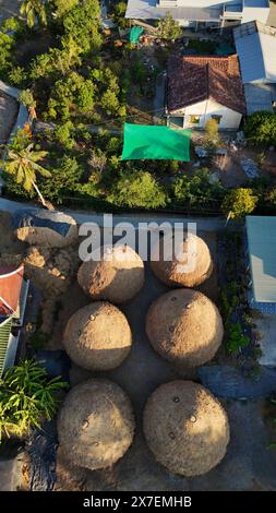 Campagne du Vietnam au delta du Mékong, groupe de meules de foin de paddy séché après récolte pour vache, buffle, tas de paille comme cône sur champ de riz Banque D'Images