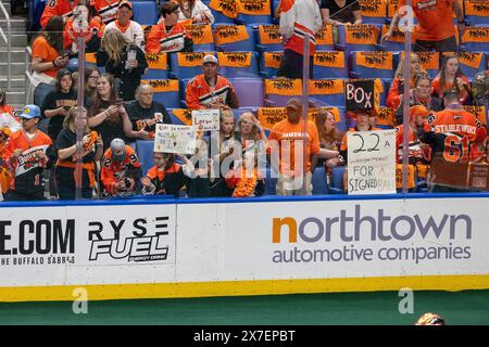 18 mai 2024 : les fans de Buffalo bandits encouragent leur équipe dans un match contre les Firewolves d'Albany. Les Buffalo bandits ont accueilli les Albany Firewolves dans le deuxième match de la finale de la National Lacrosse League au KeyBank Center à Buffalo, New York. (Jonathan Tenca/CSM) Banque D'Images