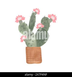 Cactus dans un panier en osier. Plantes pour la maison. Floriculture. Décoration intérieure. Illustration d'aquarelle isolée sur fond blanc. Clipart. Banque D'Images