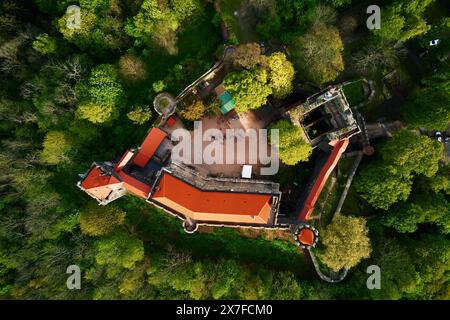 Château de Grodziec entouré d'une forêt verdoyante, vue aérienne. Ancienne forteresse historique. Célèbre lieu touristique en basse Silésie, Pologne Banque D'Images