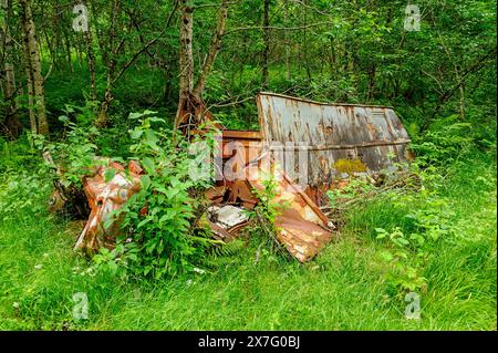 Une voiture délabrée et rouillée dépassée par la verdure se cache au milieu d'un feuillage dense dans une forêt tranquille, incarnant la renaissance de la nature. Banque D'Images