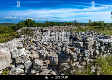 Colonie de Monkodonja de l'âge du bronze, site archéologique de Rovinj en Croatie Banque D'Images