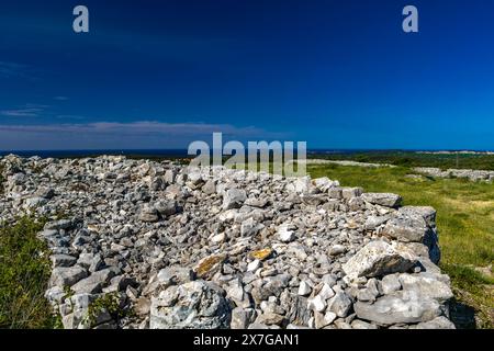 Colonie de Monkodonja de l'âge du bronze, site archéologique de Rovinj en Croatie Banque D'Images