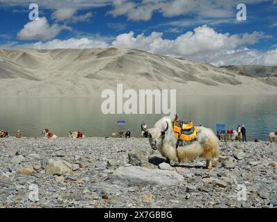 Urumqi. 19 mai 2024. Cette photo prise le 19 mai 2024 montre une vue de la zone pittoresque du lac Baisha dans le comté d'Akto, dans la région autonome ouïgur du Xinjiang, au nord-ouest de la Chine. Le 19 mai marque la Journée du tourisme en Chine. Crédit : Dai Ziluan/Xinhua/Alamy Live News Banque D'Images