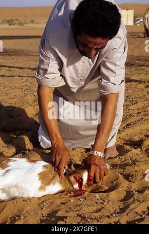 Wahiba Sands, Oman, péninsule arabique, moyen-Orient - sacrifier un agneau pour l'Aïd al-Adha. Banque D'Images