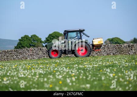 Agriculteur épandant de l'engrais sur un pré de foin traditionnel dans les Yorkshire Dales à l'aide d'un tracteur Hurlimann et d'un épandeur Teagle fert. Yorkshire du Nord, Banque D'Images