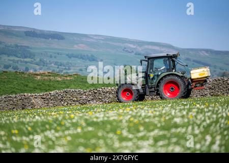 Agriculteur épandant de l'engrais sur un pré de foin traditionnel dans les Yorkshire Dales à l'aide d'un tracteur Hurlimann et d'un épandeur Teagle fert. Yorkshire du Nord, Banque D'Images