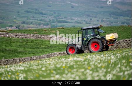 Agriculteur épandant de l'engrais sur un pré de foin traditionnel dans les Yorkshire Dales à l'aide d'un tracteur Hurlimann et d'un épandeur Teagle fert. Yorkshire du Nord, Banque D'Images