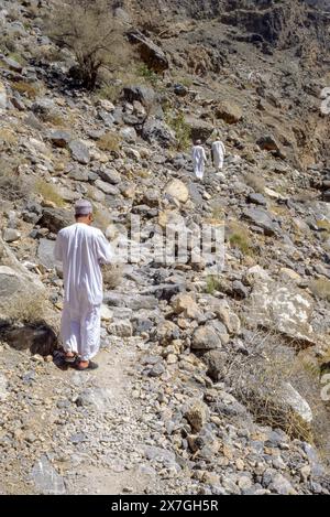 Wadi Bani Kharus, Oman, péninsule arabique. Randonnée vers la source de la source de montagne dans l'un des canyons de montagne côtiers d'Oman. Près d'Al-Ulya. Banque D'Images