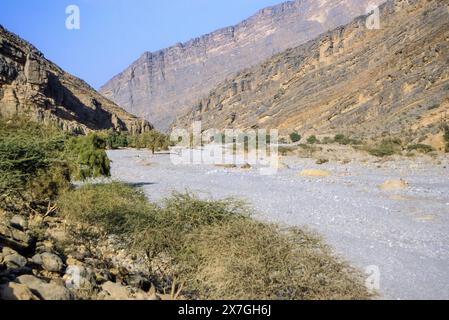 Wadi Bani Kharus, Oman, péninsule arabique, moyen-Orient - l'un des nombreux cours d'eau sèche menant aux montagnes de l'intérieur de l'Oman. Menant vers le bas Banque D'Images