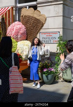 Londres, Royaume-Uni, le thème des années 2024 est «Fêtes florales», célébrant deux des choses pour lesquelles Chelsea est le plus célèbre : le patrimoine botanique et la nourriture fabuleuse. Le spectacle d'art floral alternatif transforme les rues de Chelsea à partir du 20-26 mai, avec des expositions faites de fleurs fraîches. Produit par Cadogan, en association avec la Royal Horticultural Society (RHS), le concours annuel continue de croître d’année en année, avec les meilleurs détaillants, restaurants et hôtels de Chelsea qui s’ornent de designs créatifs, en compétition pour les prix convoités. Banque D'Images